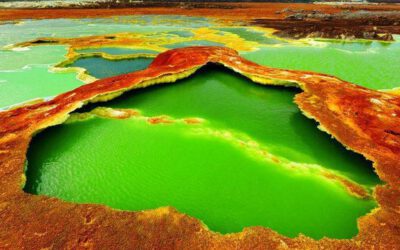 The Hidden Treasures of Afar